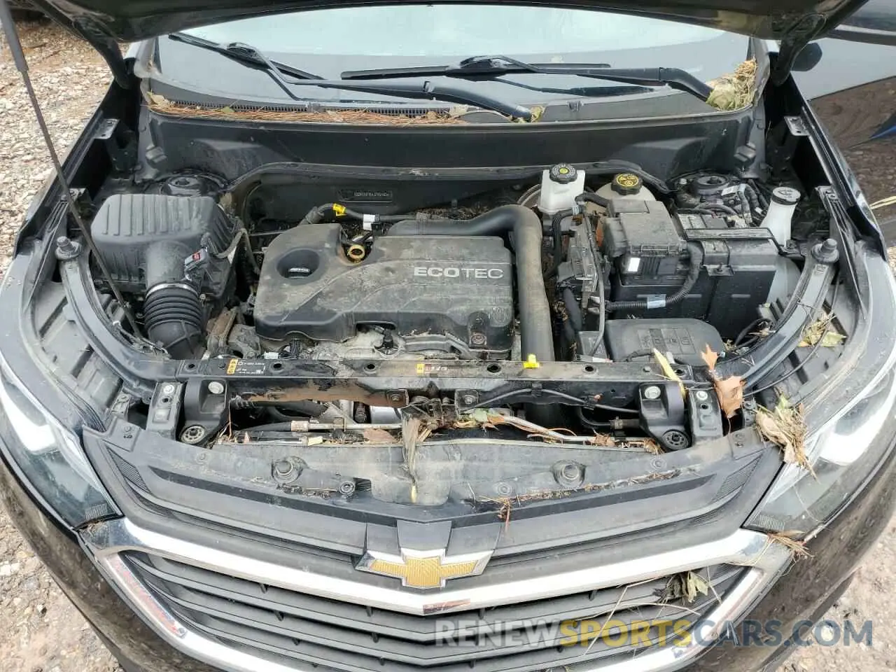 12 fotografías del automóvil dañado 2GNAXUEV5L6152483 CHEVROLET EQUINOX 2020