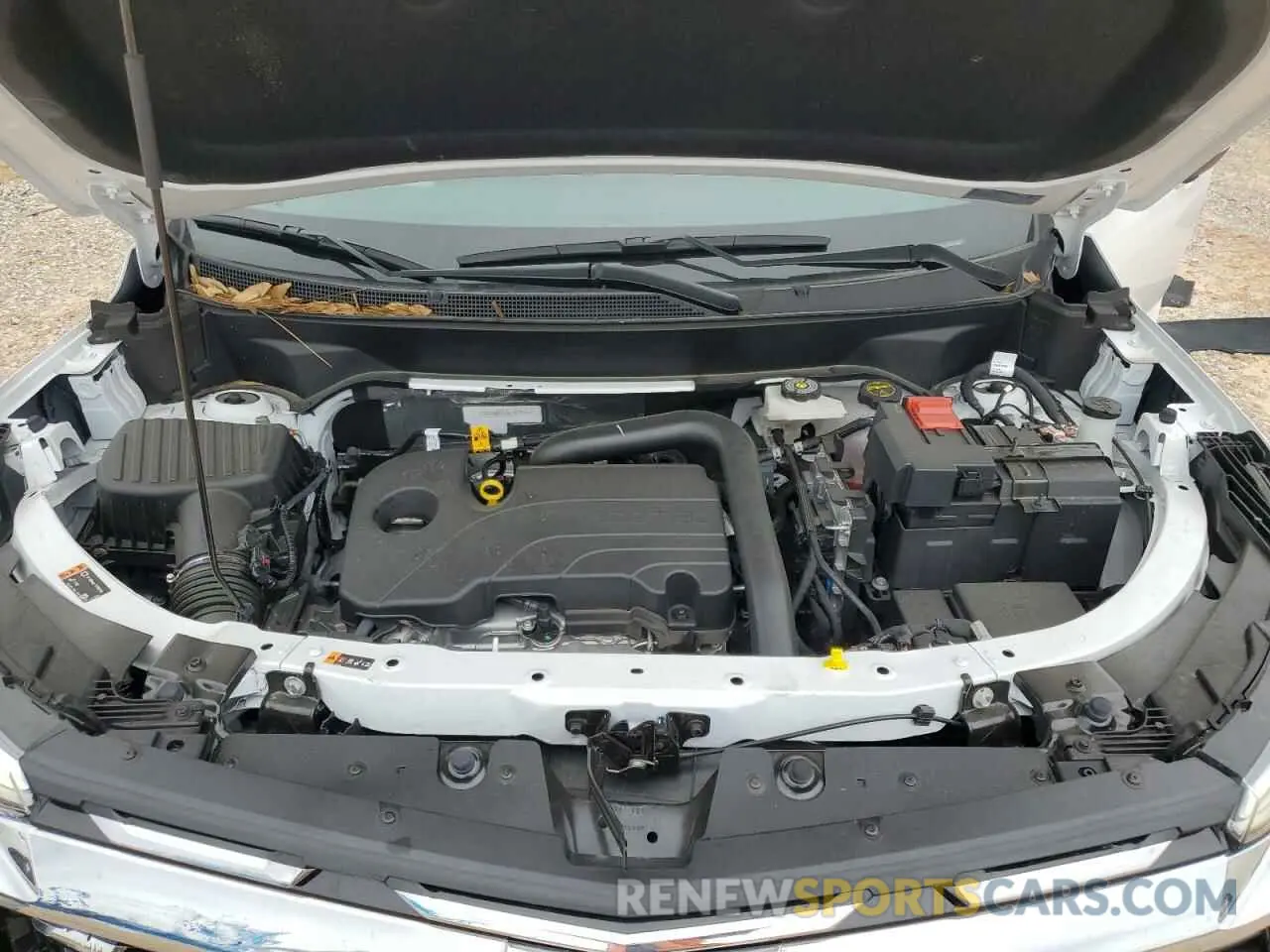 14 fotografías del automóvil dañado 3GNAXHEG6SL102615 CHEVROLET EQUINOX 2025