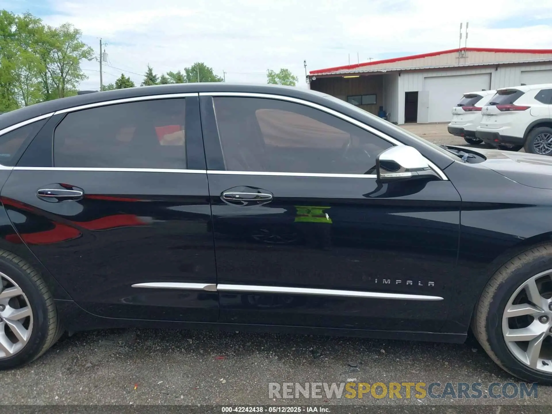 13 fotografías del automóvil dañado 1G1105S33KU104673 CHEVROLET IMPALA 2019