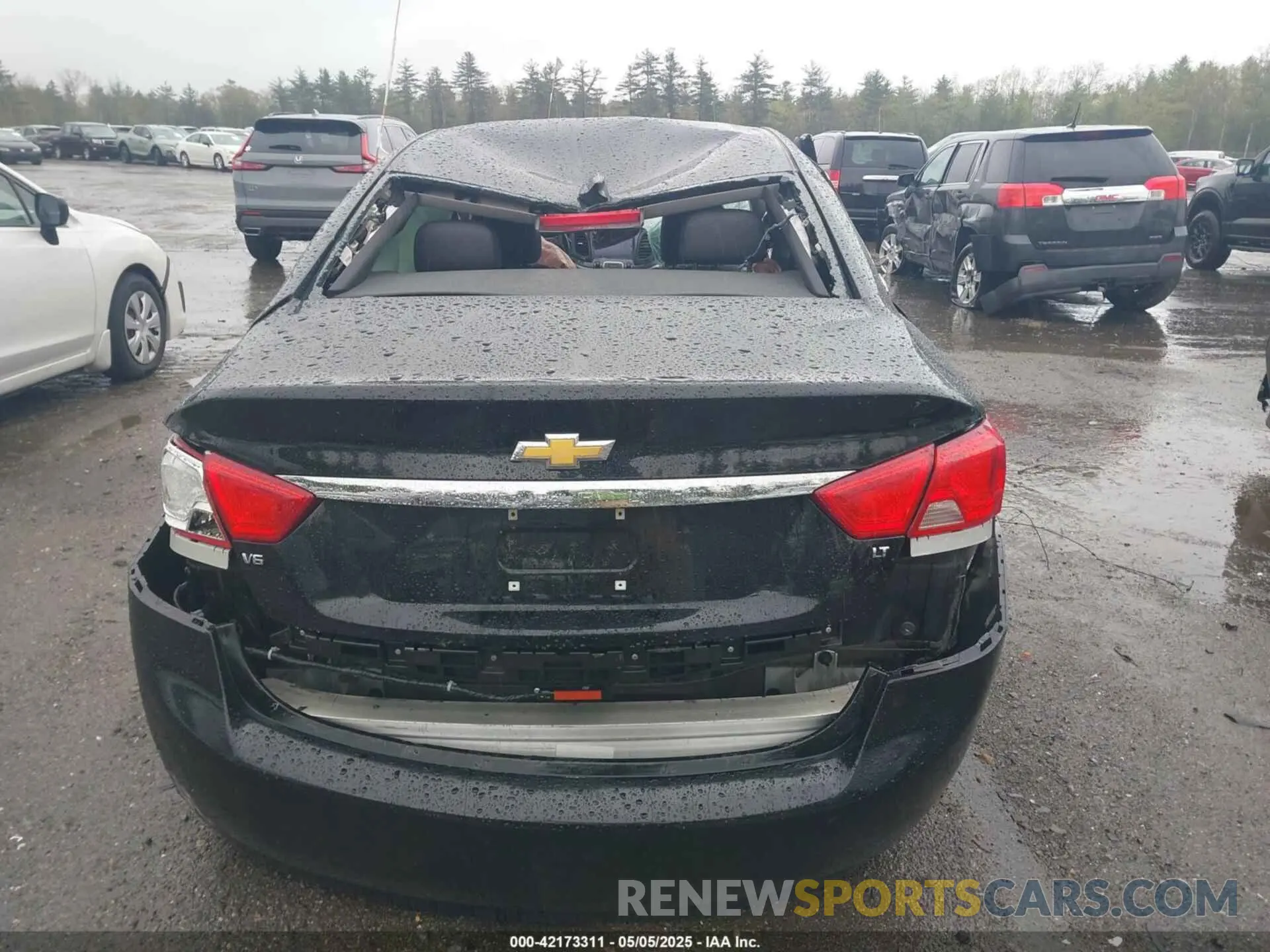 13 fotografías del automóvil dañado 1G11Z5S34KU107085 CHEVROLET IMPALA 2019