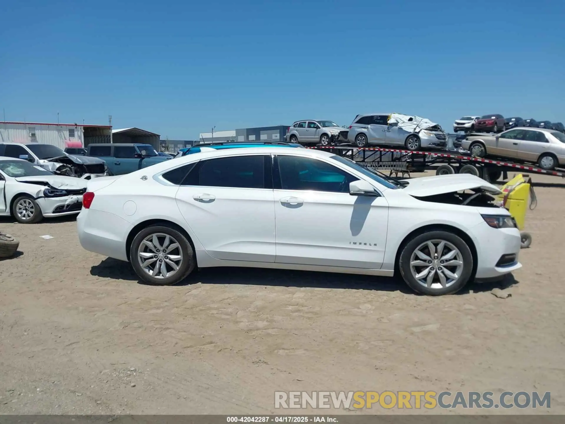 12 fotografías del automóvil dañado 1G11Z5S36KU113051 CHEVROLET IMPALA 2019