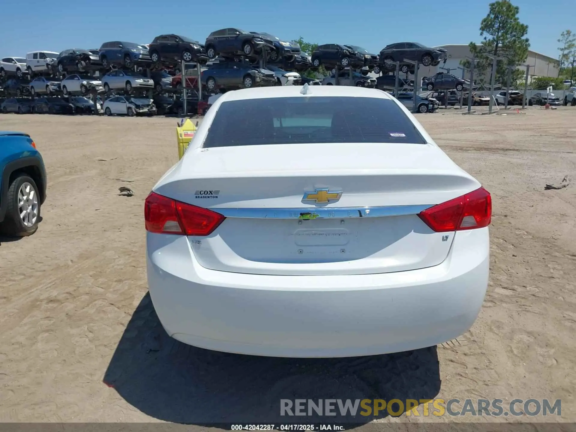 15 fotografías del automóvil dañado 1G11Z5S36KU113051 CHEVROLET IMPALA 2019