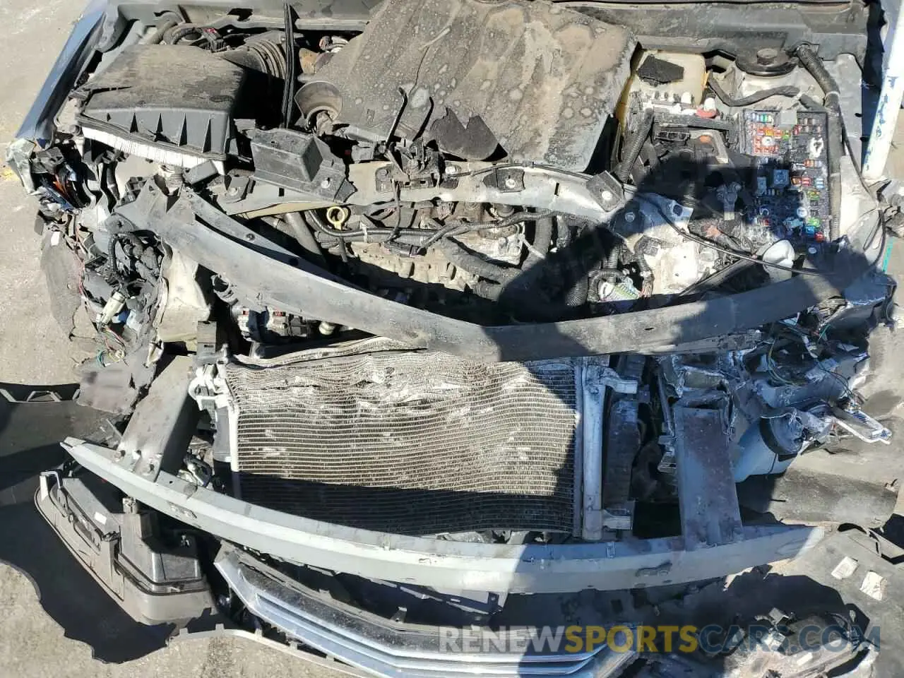 11 fotografías del automóvil dañado 2G1105S38K9146141 CHEVROLET IMPALA 2019
