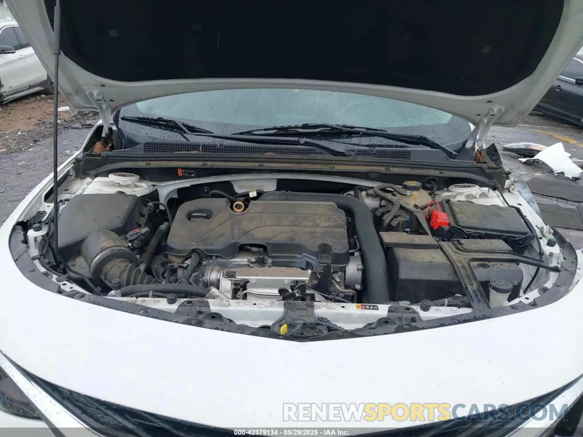 10 fotografías del automóvil dañado 1G1ZB5ST0KF215439 CHEVROLET MALIBU 2019
