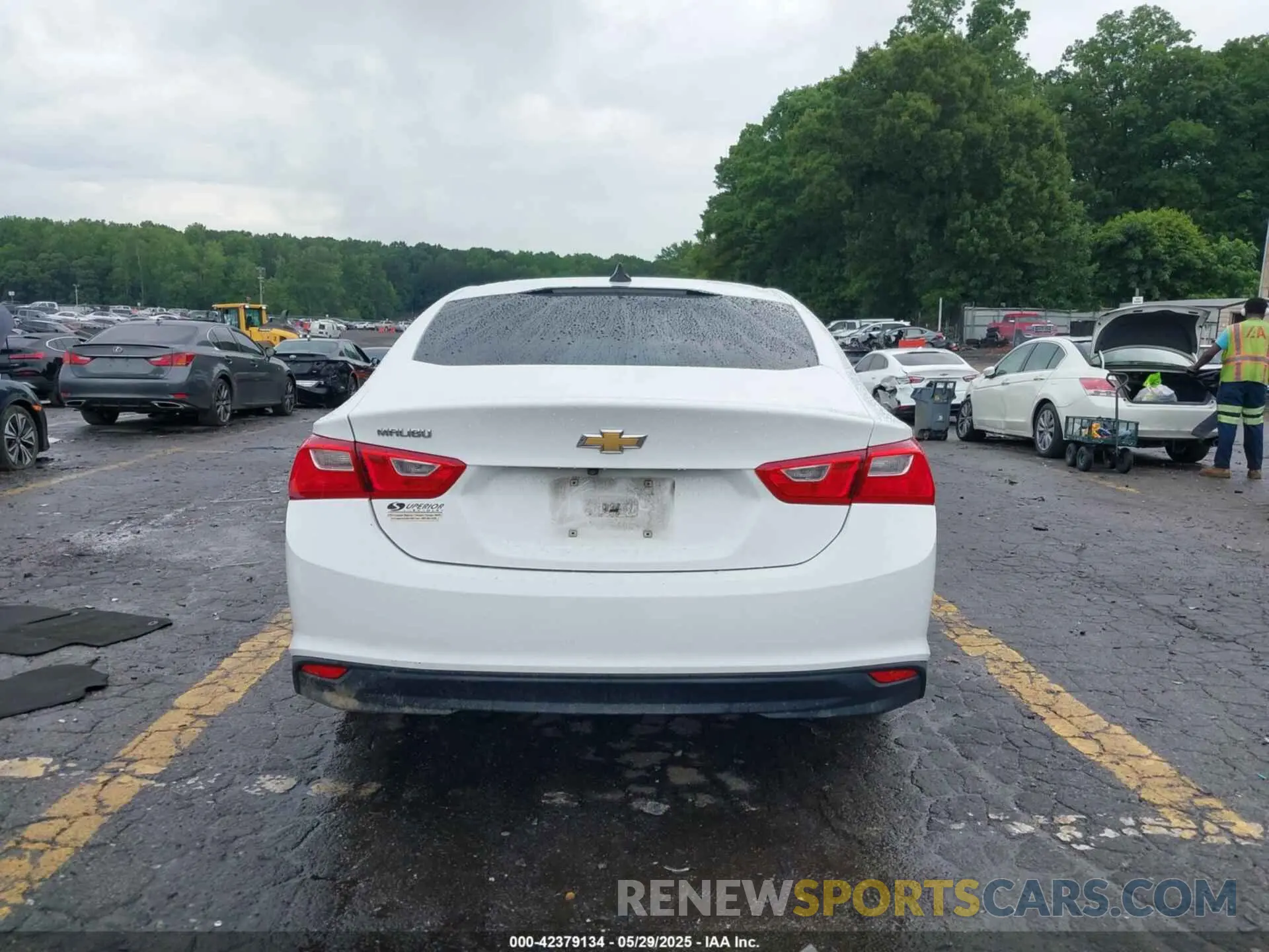 17 fotografías del automóvil dañado 1G1ZB5ST0KF215439 CHEVROLET MALIBU 2019