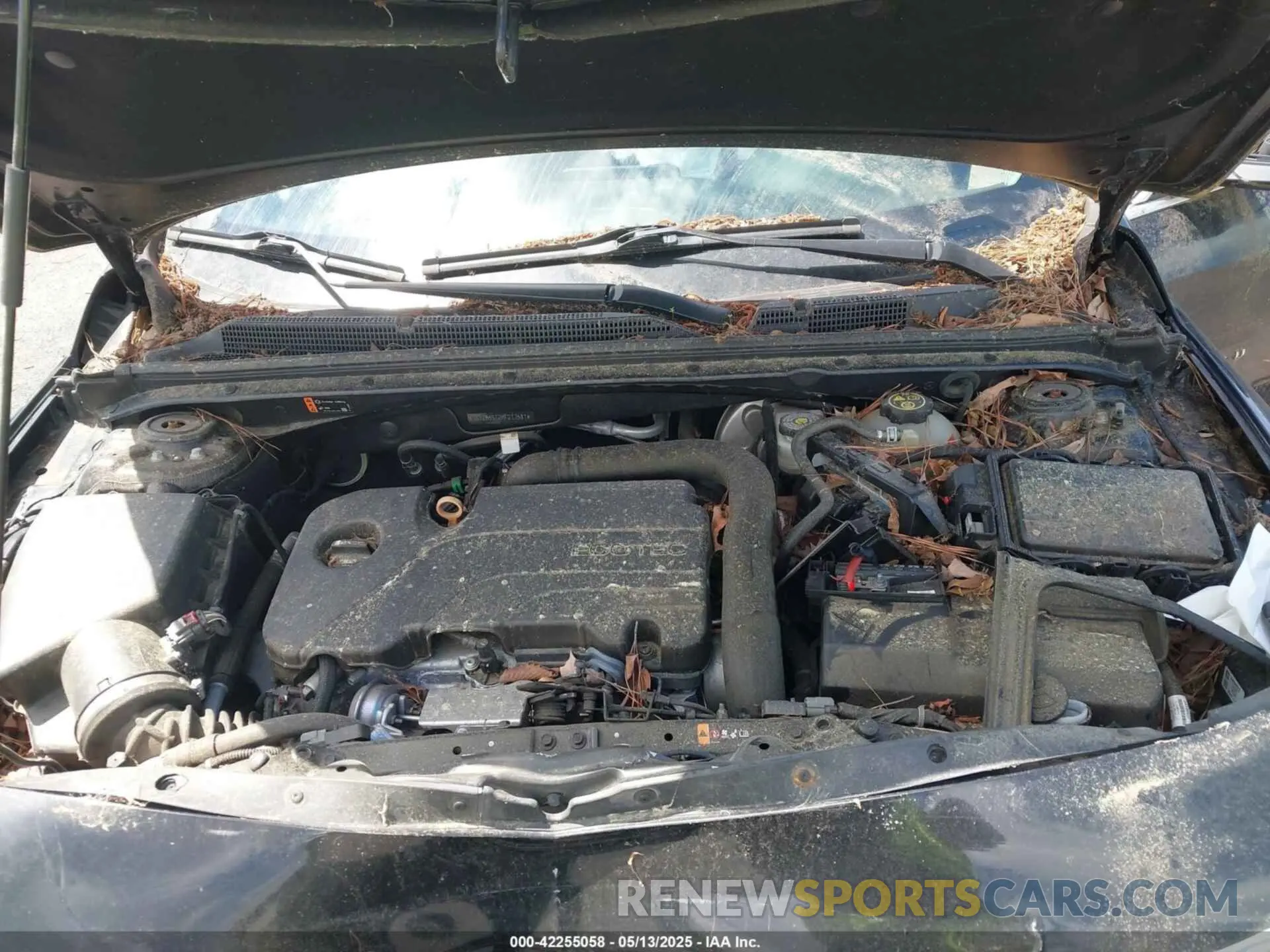 10 fotografías del automóvil dañado 1G1ZB5ST2KF217581 CHEVROLET MALIBU 2019