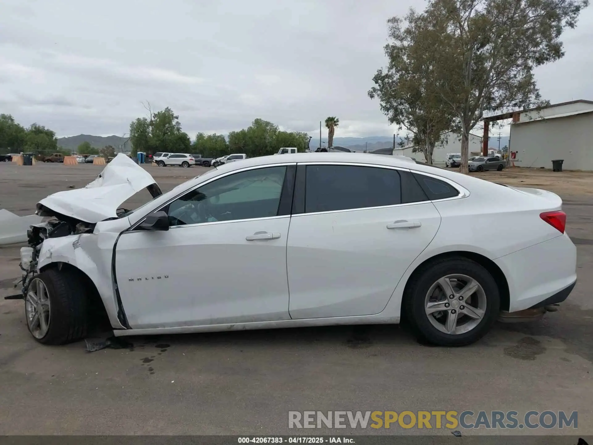 15 fotografías del automóvil dañado 1G1ZB5STXKF220180 CHEVROLET MALIBU 2019