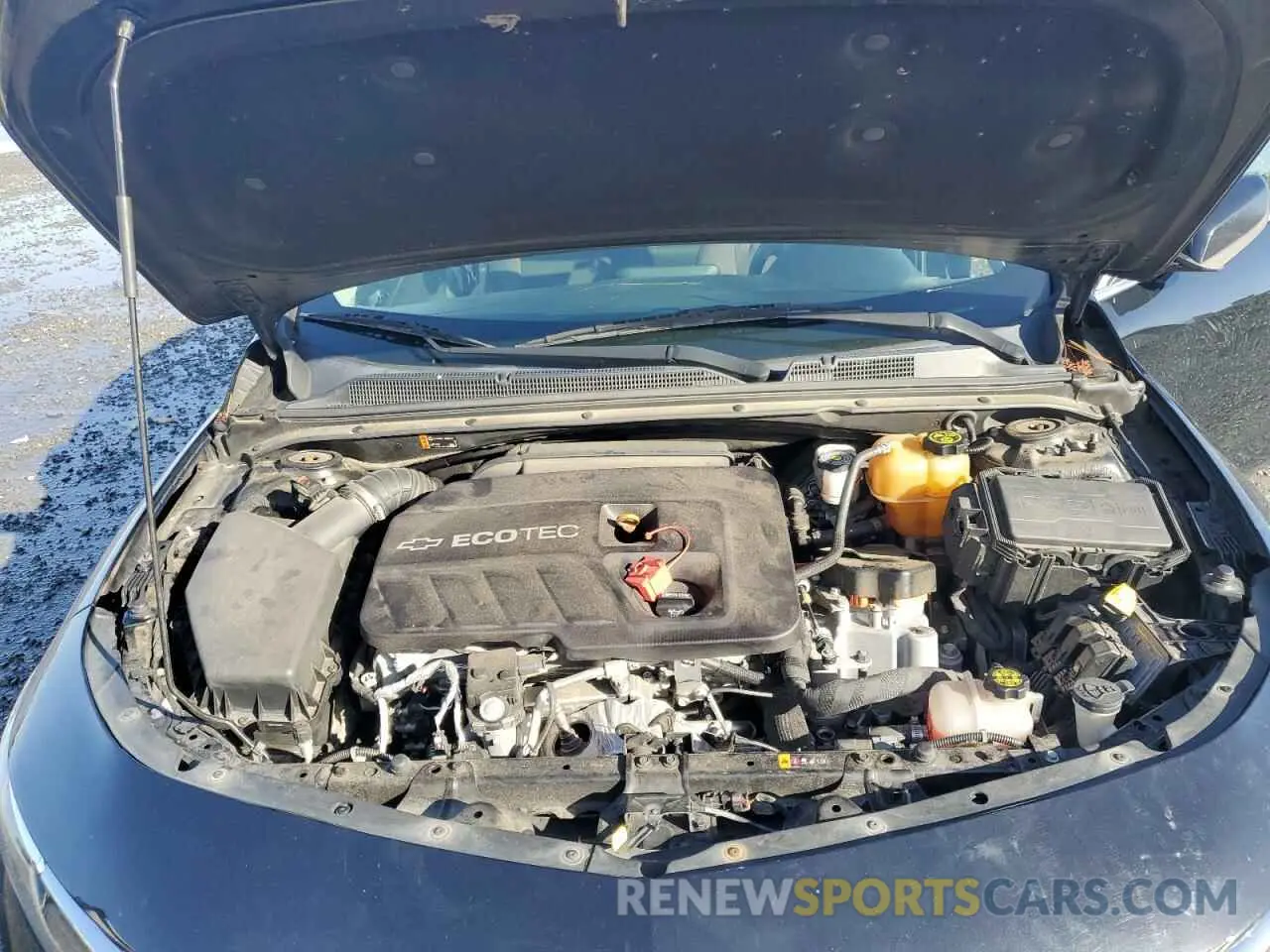 13 fotografías del automóvil dañado 1G1ZF5SU7KF176118 CHEVROLET MALIBU 2019