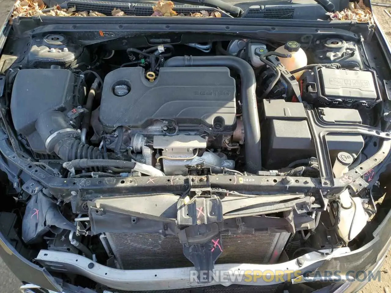 11 fotografías del automóvil dañado 1G1ZG5ST0KF190902 CHEVROLET MALIBU 2019