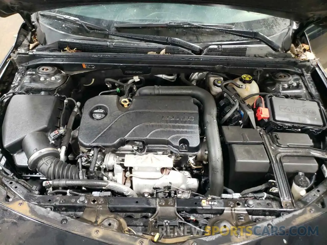 11 fotografías del automóvil dañado 1G1ZG5ST6KF162926 CHEVROLET MALIBU 2019