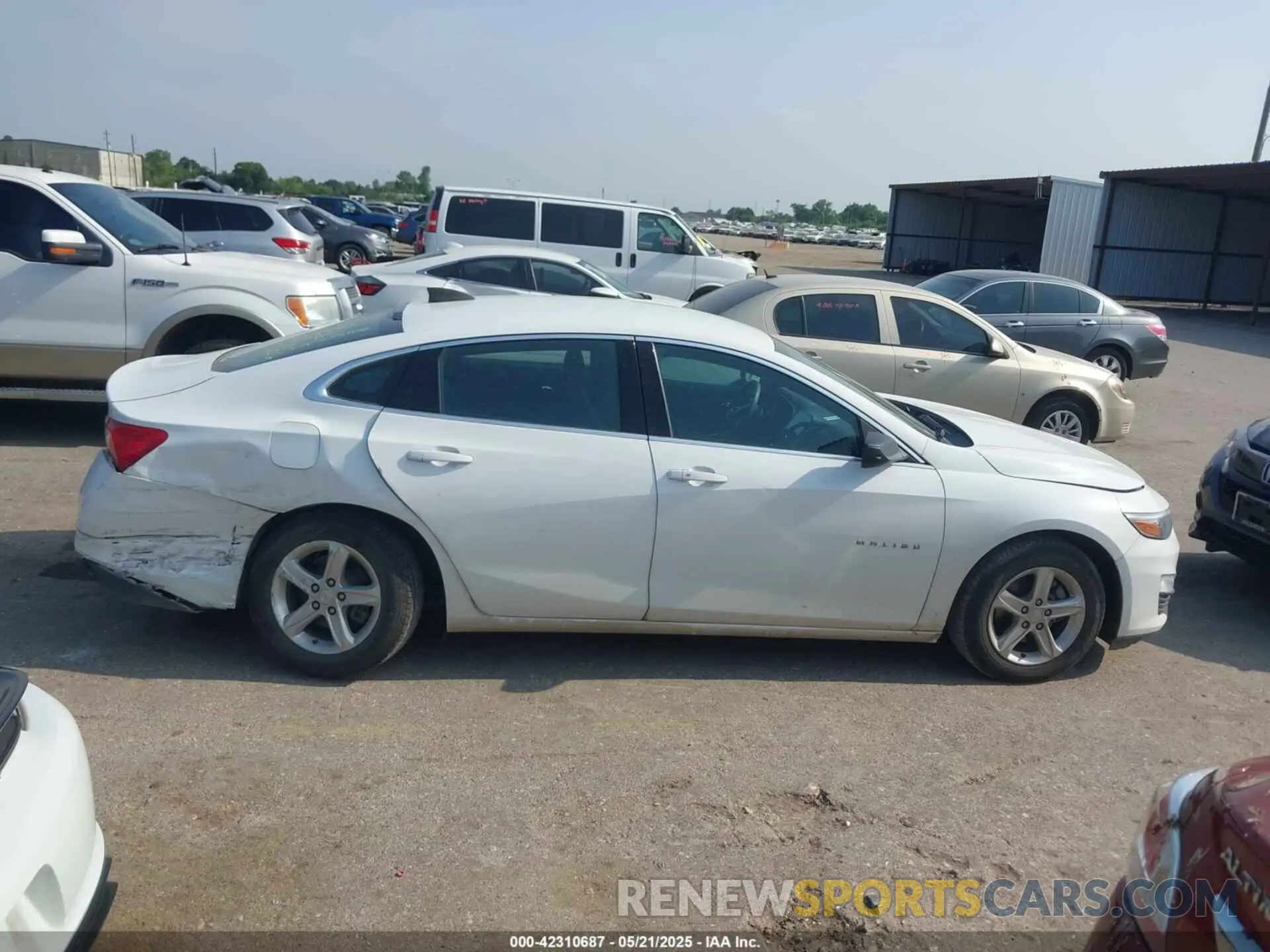 13 fotografías del automóvil dañado 1G1ZB5ST3LF123467 CHEVROLET MALIBU 2020