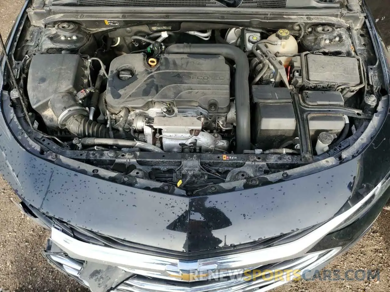 11 fotografías del automóvil dañado 1G1ZD5ST4LF062608 CHEVROLET MALIBU 2020