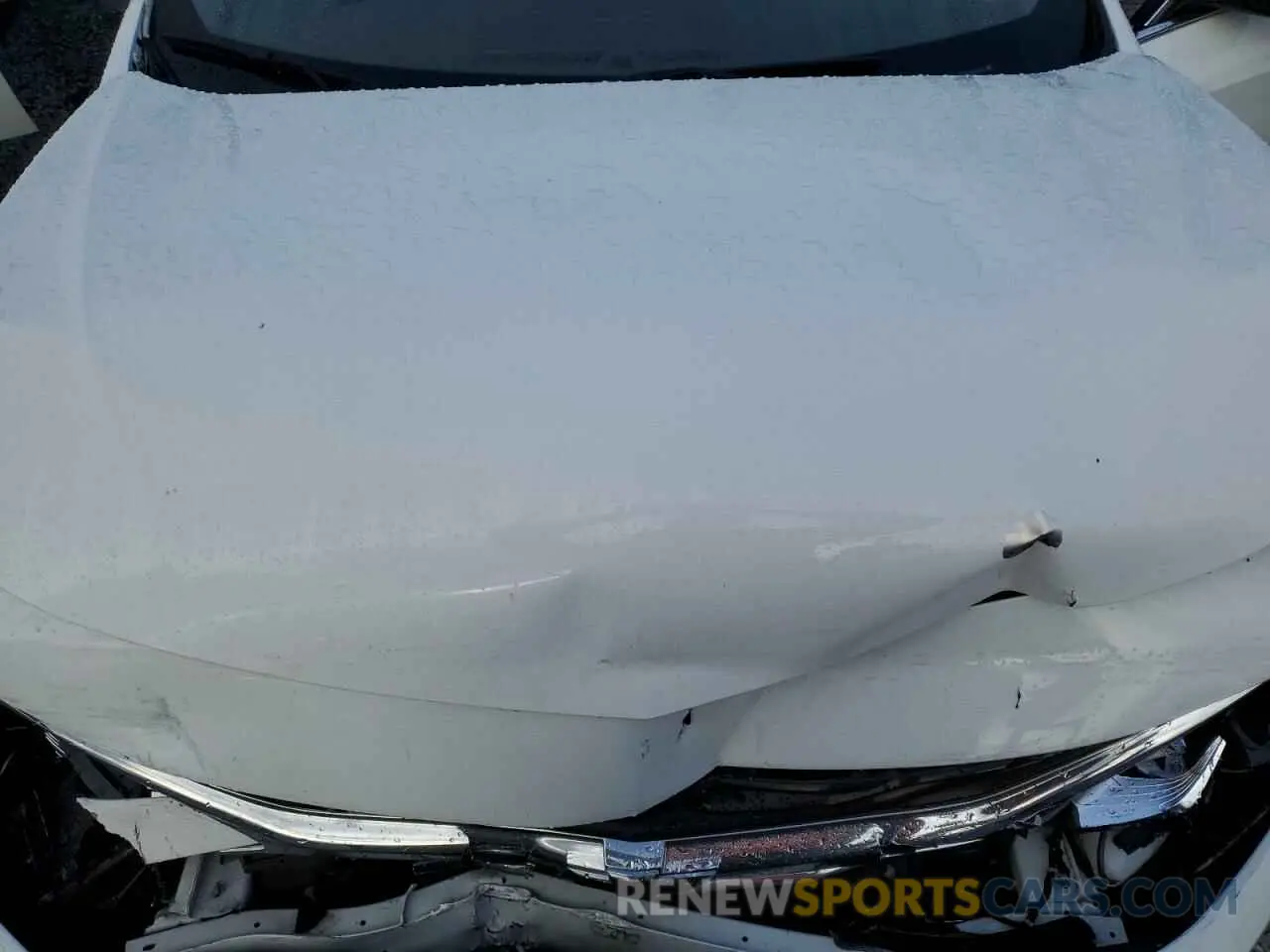 11 fotografías del automóvil dañado 1G1ZD5ST8LF158158 CHEVROLET MALIBU 2020