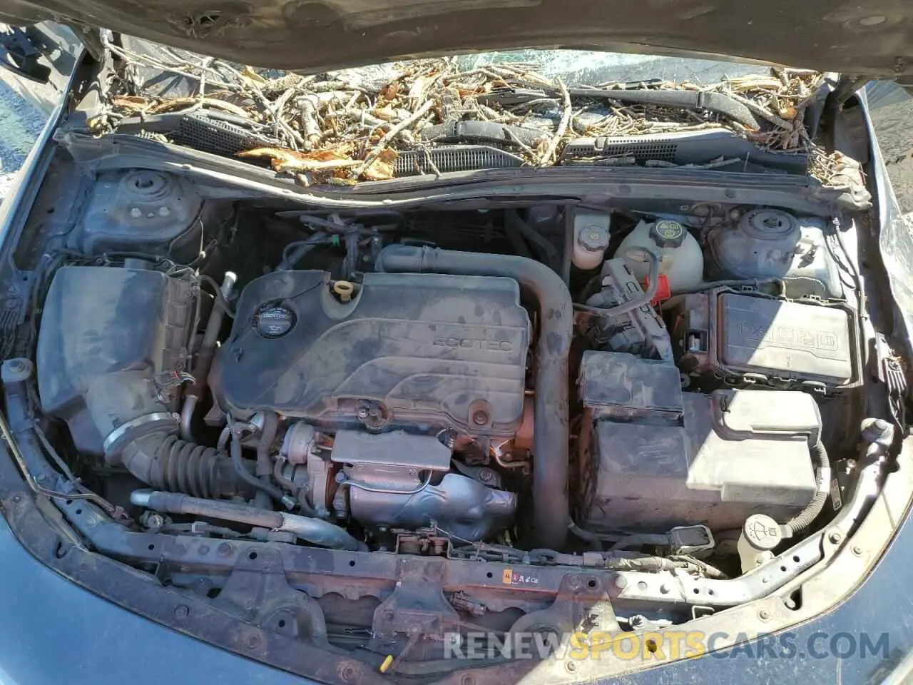 11 fotografías del automóvil dañado 1G1ZG5ST2LF026486 CHEVROLET MALIBU 2020
