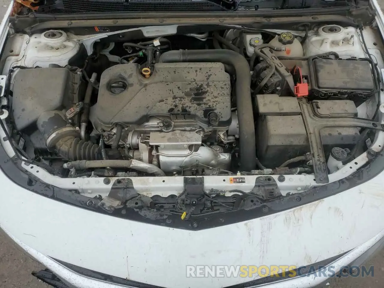11 fotografías del automóvil dañado 1G1ZG5ST9LF022564 CHEVROLET MALIBU 2020