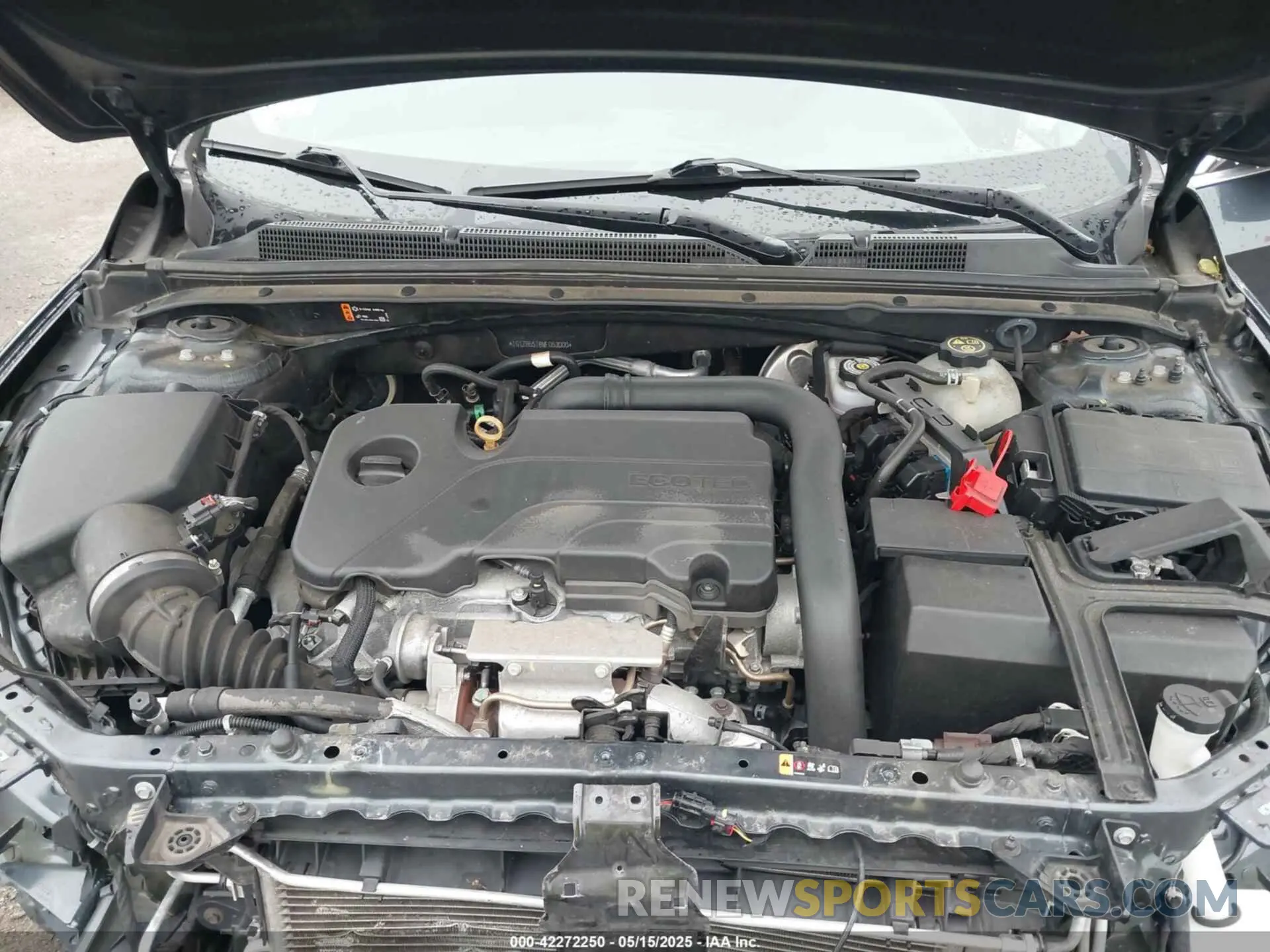 10 fotografías del automóvil dañado 1G1ZB5ST8MF053000 CHEVROLET MALIBU 2021