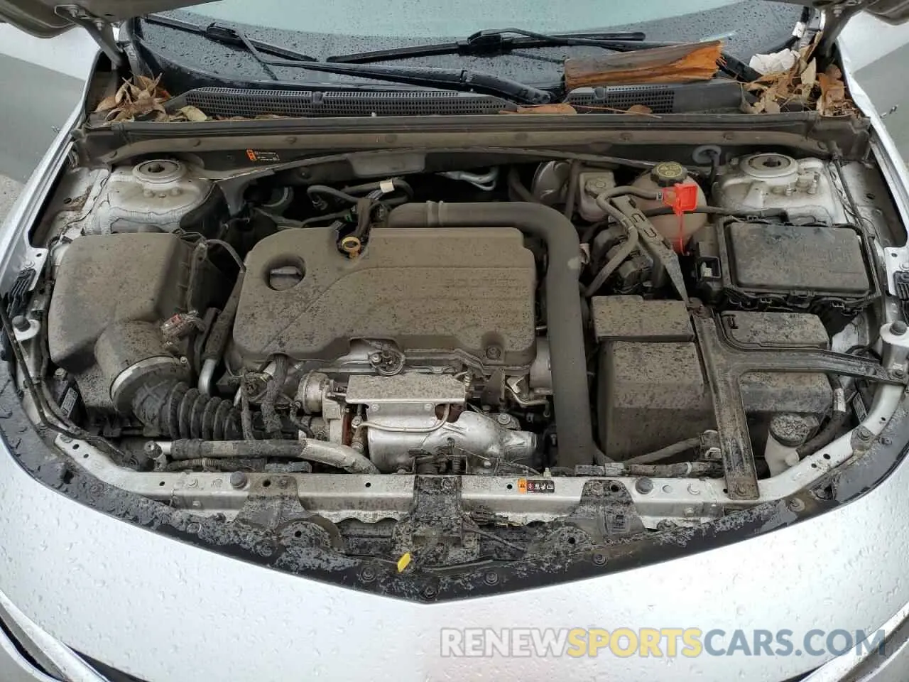11 fotografías del automóvil dañado 1G1ZC5ST0MF083251 CHEVROLET MALIBU 2021