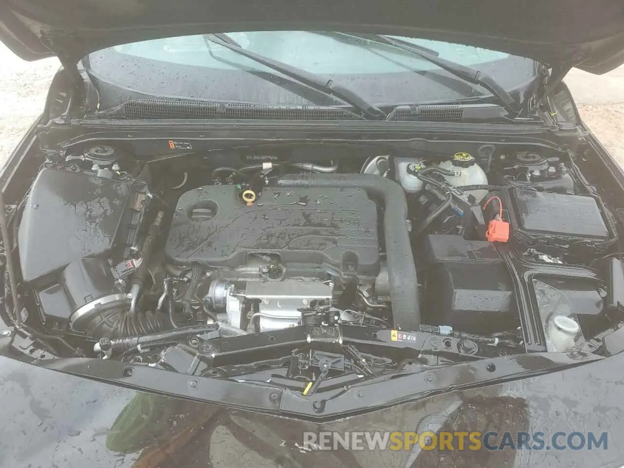 11 fotografías del automóvil dañado 1G1ZD5ST3MF074279 CHEVROLET MALIBU 2021