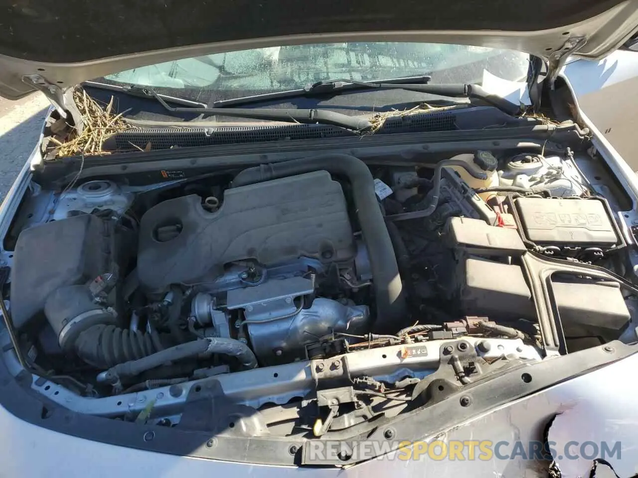 11 fotografías del automóvil dañado 1G1ZD5STXMF052246 CHEVROLET MALIBU 2021