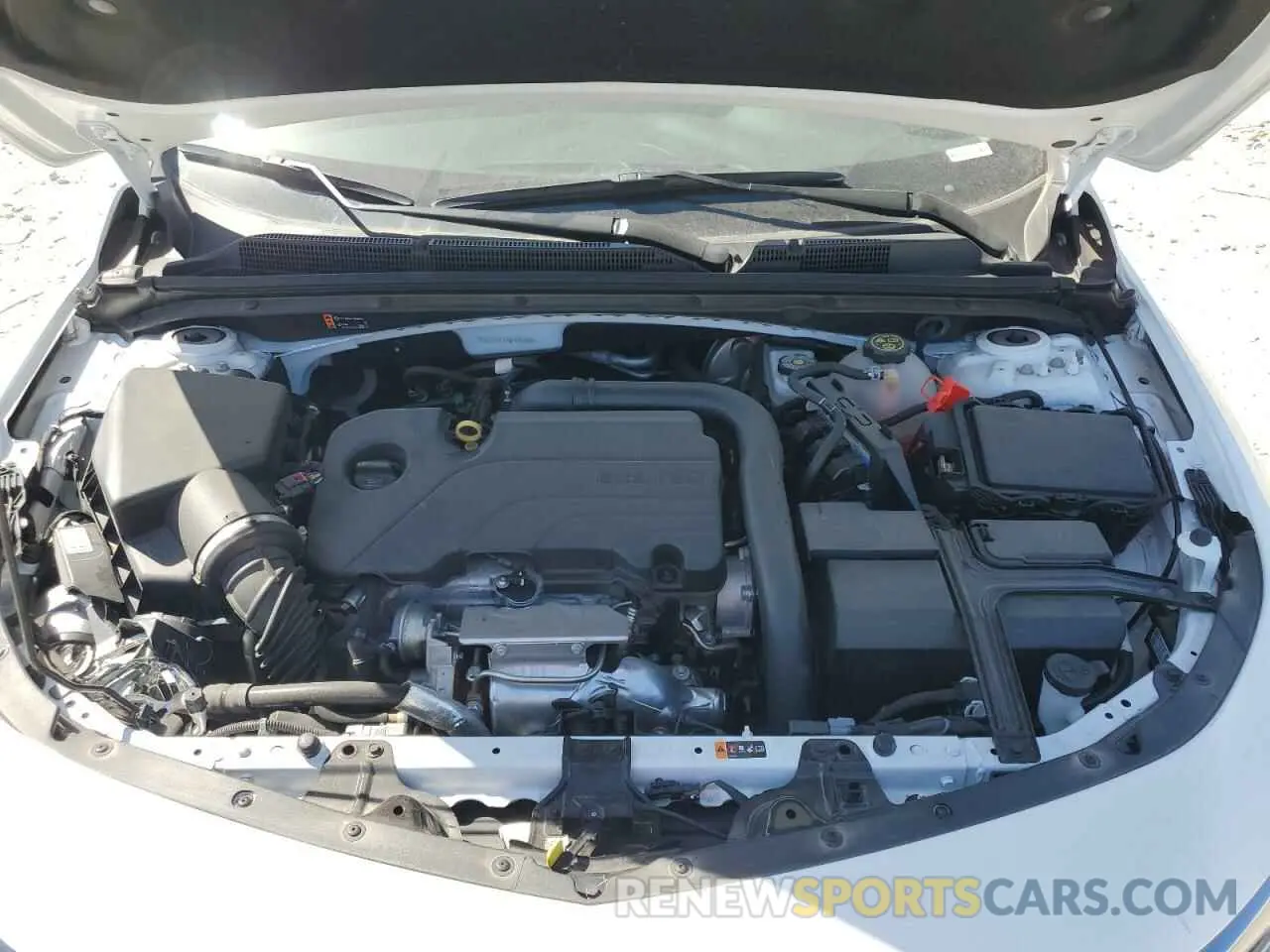 11 fotografías del automóvil dañado 1G1ZG5ST4MF041038 CHEVROLET MALIBU 2021