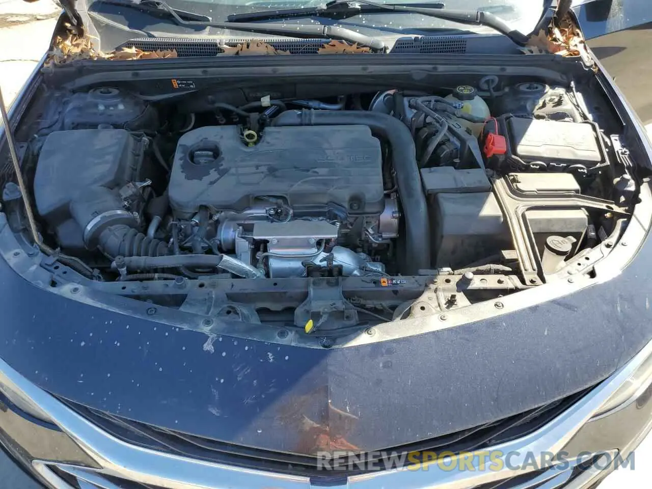 11 fotografías del automóvil dañado 1G1ZB5ST5NF187271 CHEVROLET MALIBU 2022