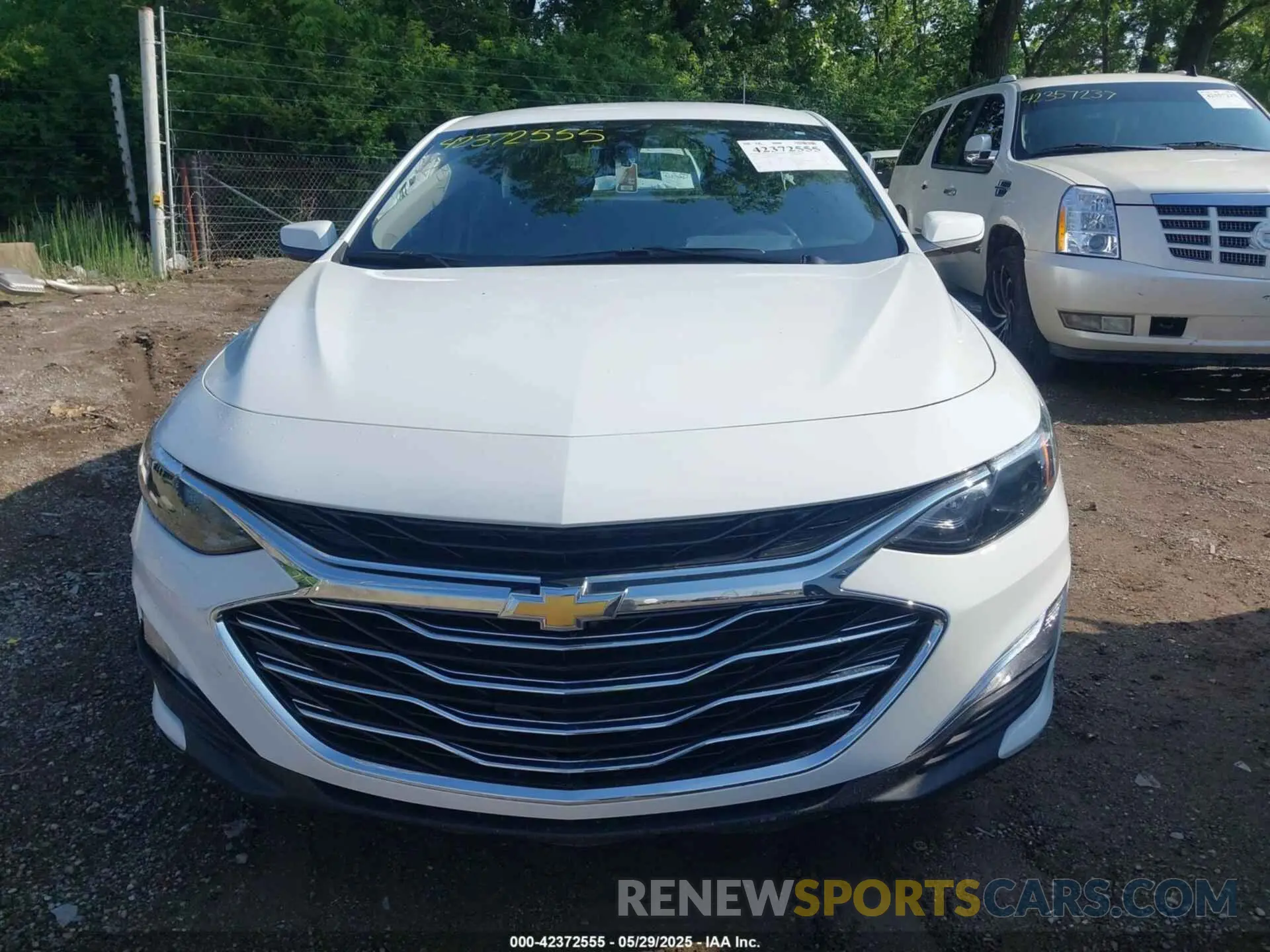 12 fotografías del automóvil dañado 1G1ZC5ST0NF146513 CHEVROLET MALIBU 2022