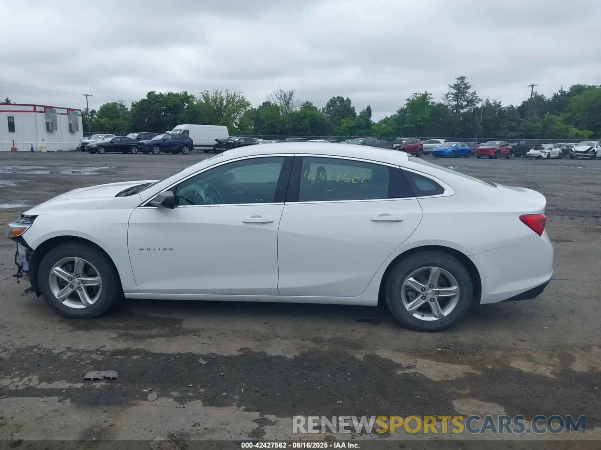 14 fotografías del automóvil dañado 1G1ZB5ST4PF115593 CHEVROLET MALIBU 2023
