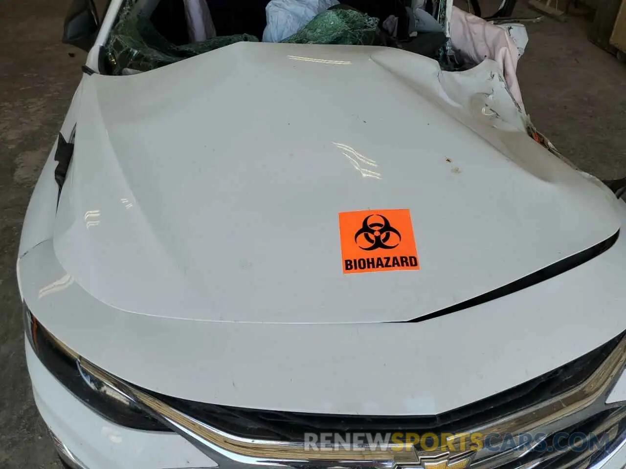12 fotografías del automóvil dañado 1G1ZC5ST5PF129290 CHEVROLET MALIBU 2023