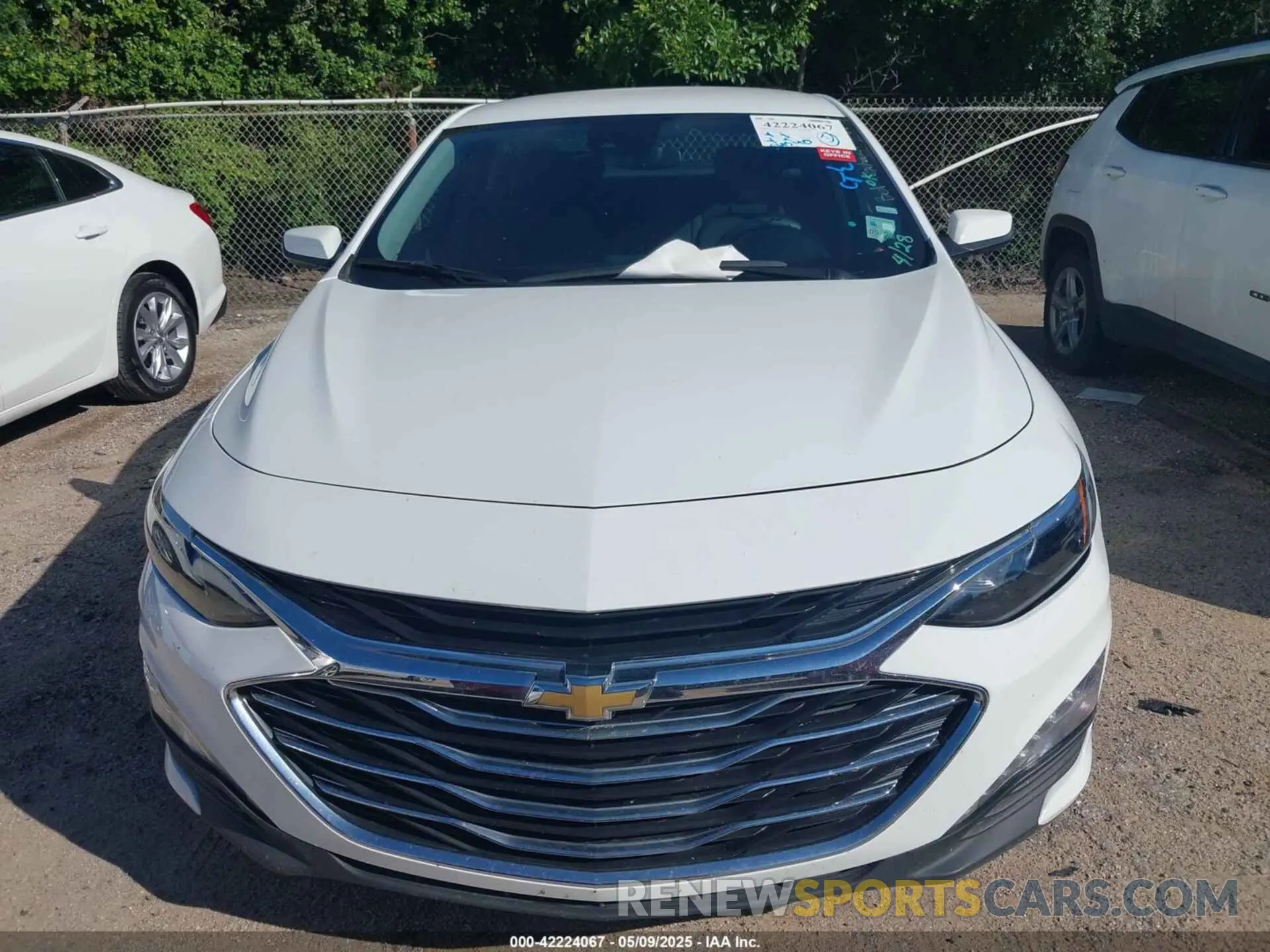 12 fotografías del automóvil dañado 1G1ZD5ST4PF205711 CHEVROLET MALIBU 2023
