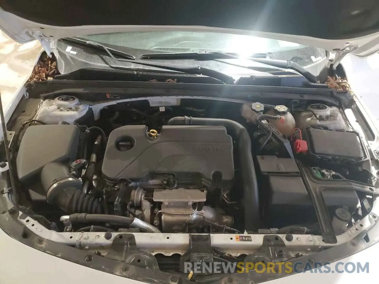 11 fotografías del automóvil dañado 1G1ZD5ST5PF141193 CHEVROLET MALIBU 2023