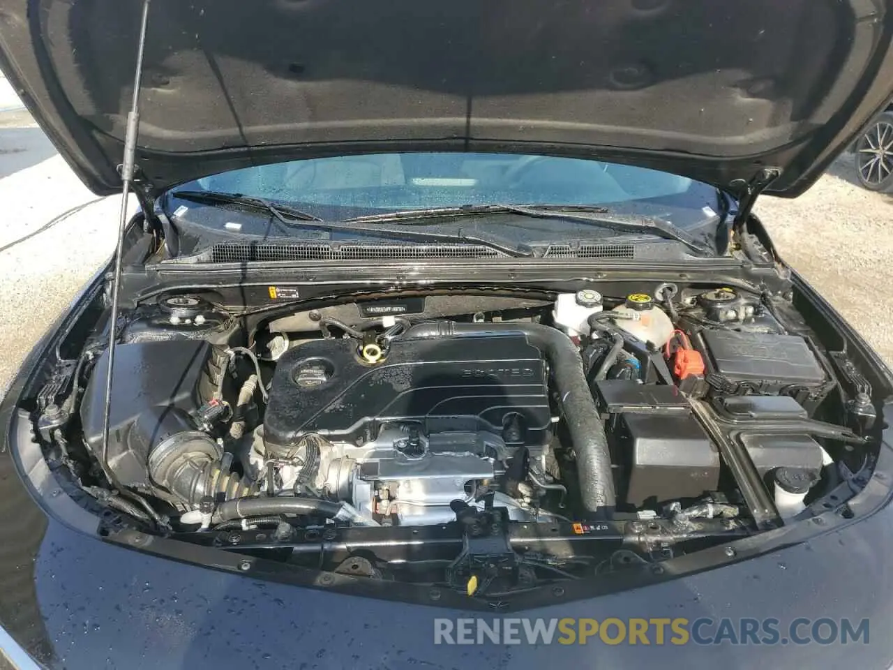 11 fotografías del automóvil dañado 1G1ZD5STXPF189787 CHEVROLET MALIBU 2023