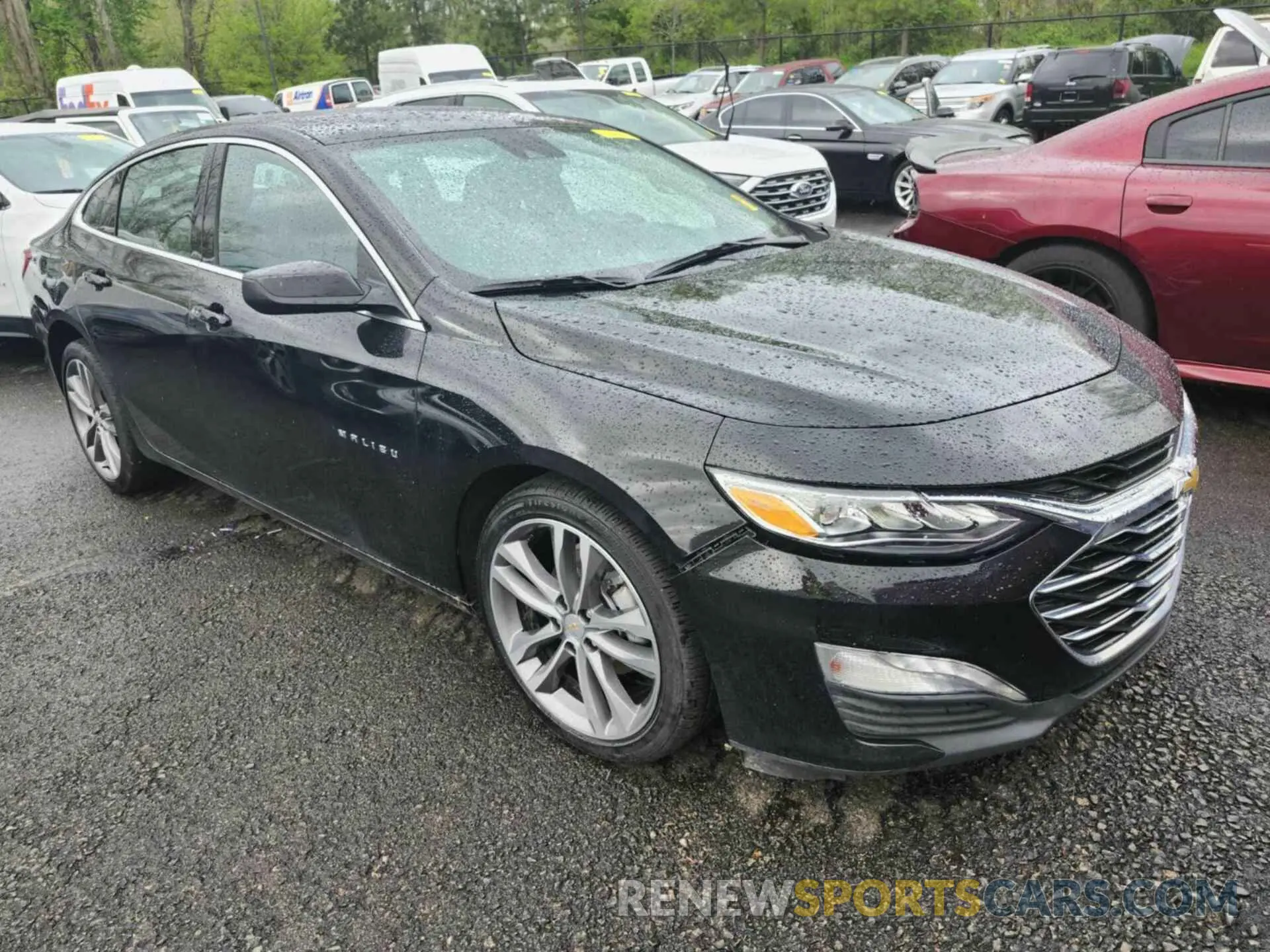 13 fotografías del automóvil dañado 1G1ZE5ST7PF128393 CHEVROLET MALIBU 2023