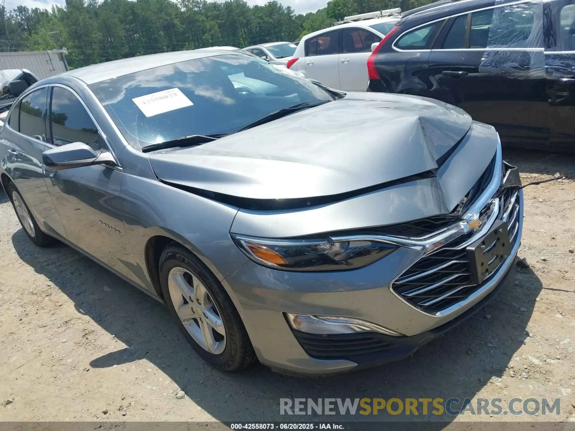 13 fotografías del automóvil dañado 1G1ZB5ST1RF115215 CHEVROLET MALIBU 2024