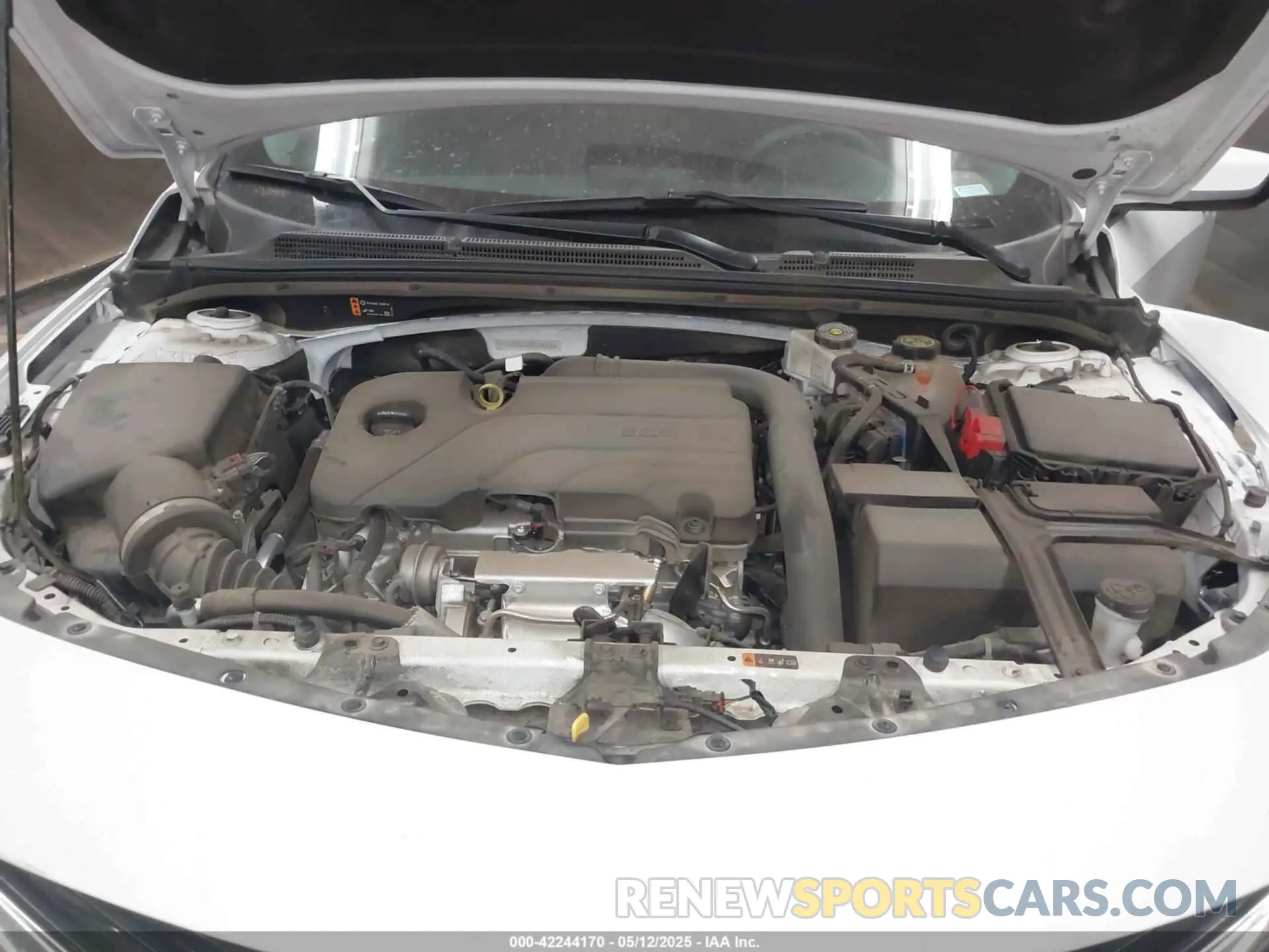 10 fotografías del automóvil dañado 1G1ZB5ST2RF135795 CHEVROLET MALIBU 2024