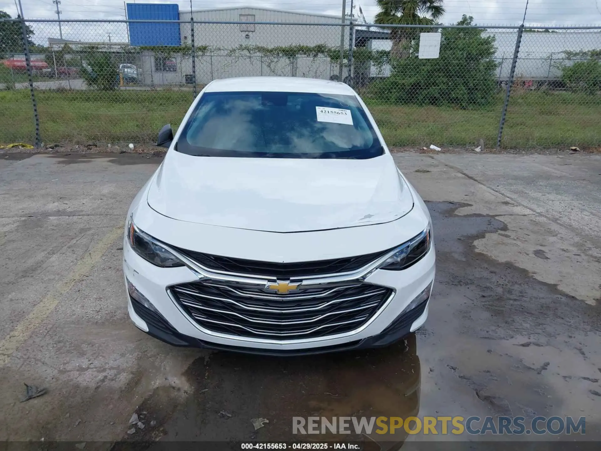 12 fotografías del automóvil dañado 1G1ZC5ST3RF226197 CHEVROLET MALIBU 2024