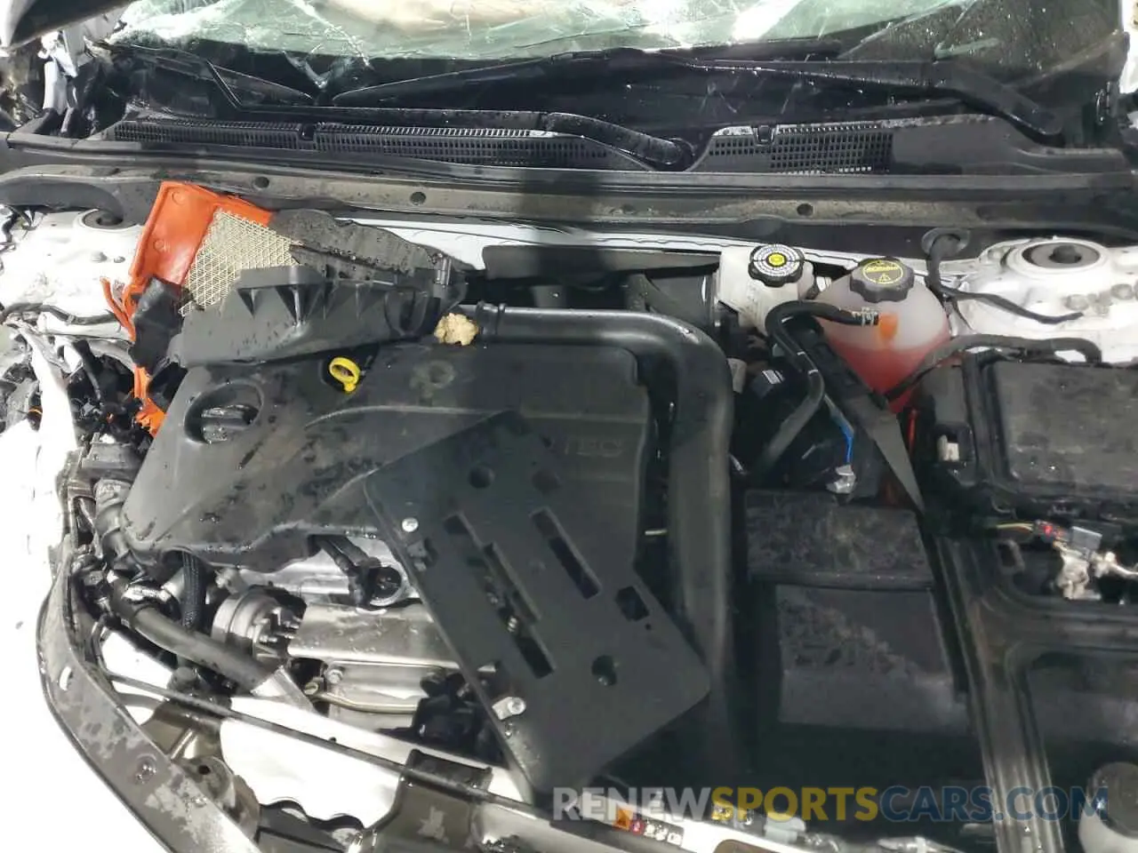 11 fotografías del automóvil dañado 1G1ZD5ST0RF225277 CHEVROLET MALIBU 2024
