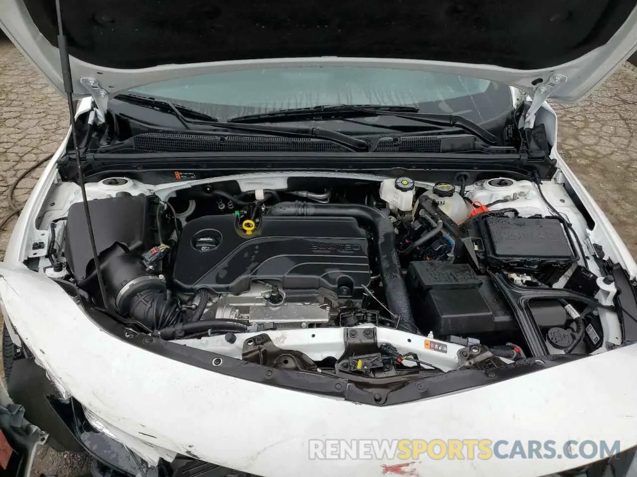 11 fotografías del automóvil dañado 1G1ZD5ST0RF245805 CHEVROLET MALIBU 2024