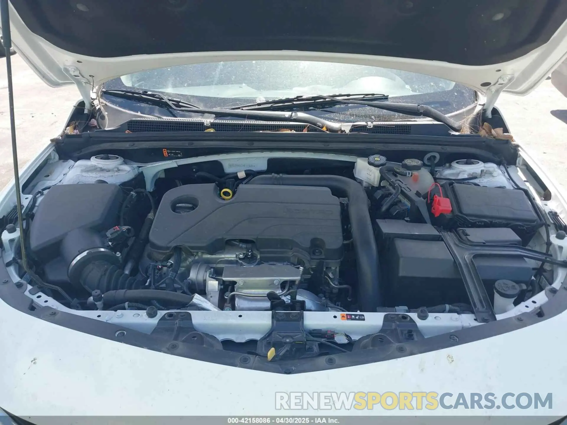 10 fotografías del automóvil dañado 1G1ZD5ST1RF113281 CHEVROLET MALIBU 2024