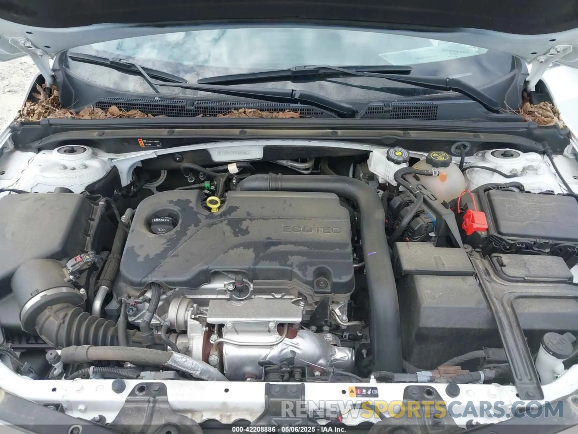 10 fotografías del automóvil dañado 1G1ZD5ST7RF105489 CHEVROLET MALIBU 2024