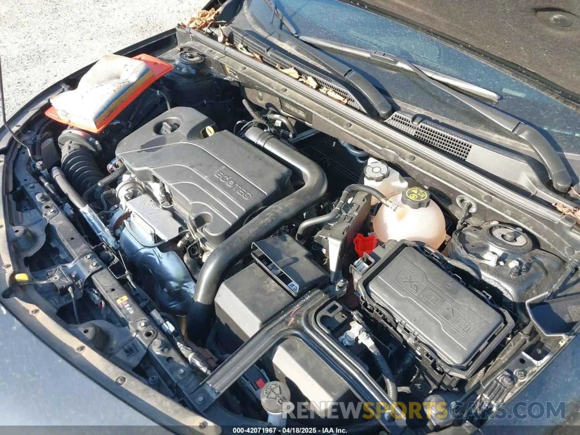 10 fotografías del automóvil dañado 1G1ZE5ST3RF118009 CHEVROLET MALIBU 2024