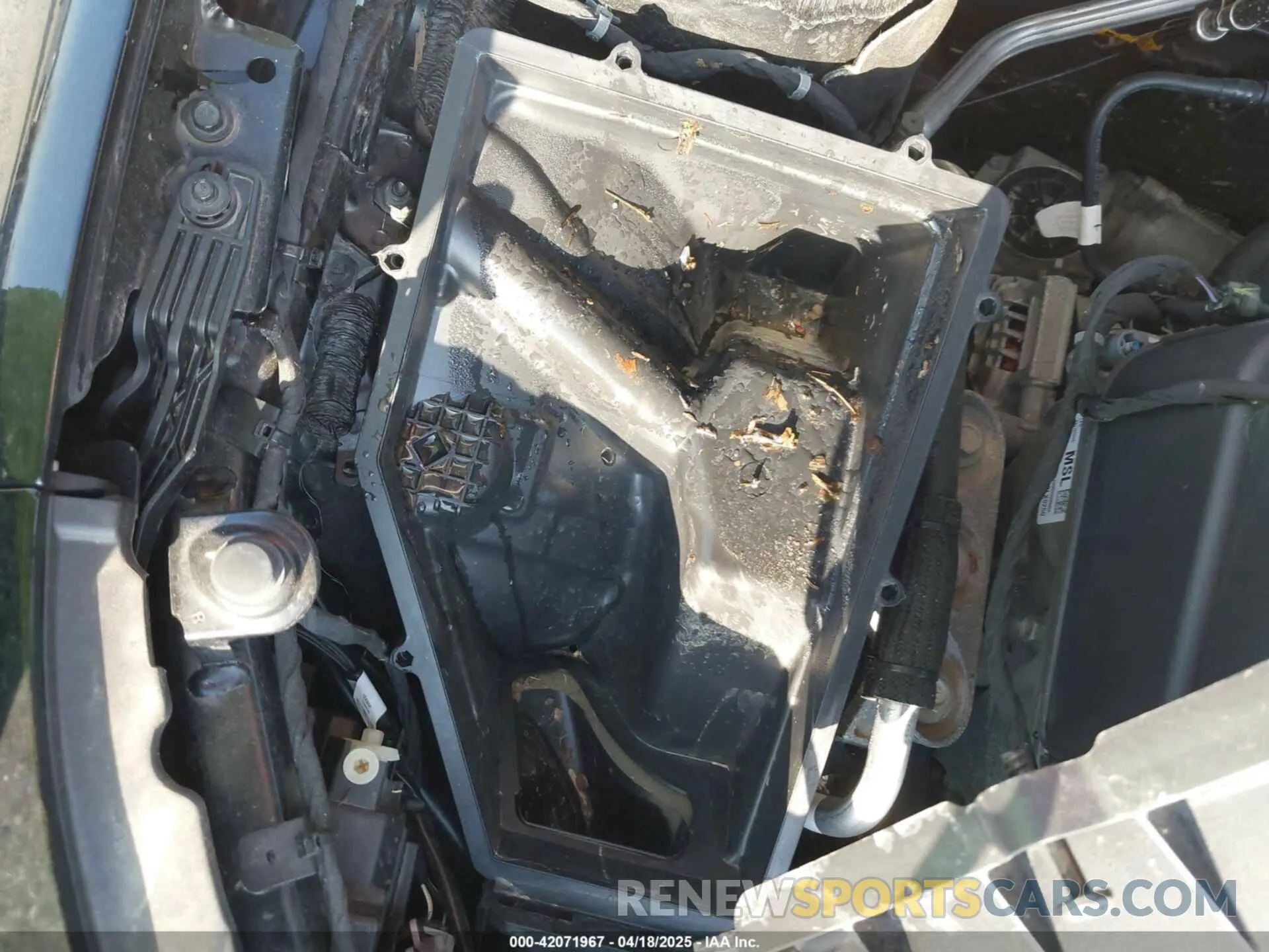 13 fotografías del automóvil dañado 1G1ZE5ST3RF118009 CHEVROLET MALIBU 2024