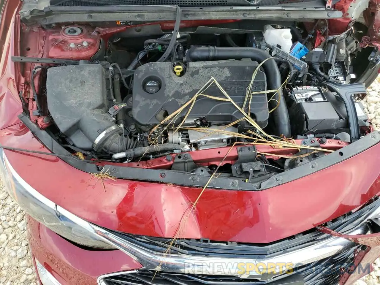 12 fotografías del automóvil dañado 1G1ZG5ST7RF104494 CHEVROLET MALIBU 2024