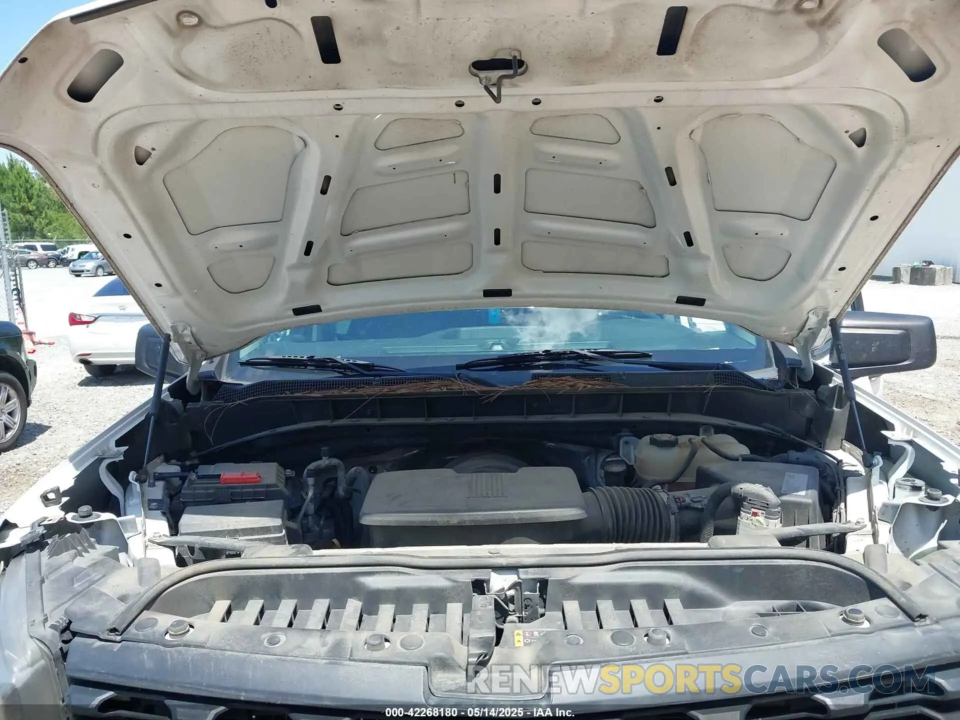 10 fotografías del automóvil dañado 1GCPWAEF5KZ177299 CHEVROLET SILVERADO 1500 2019