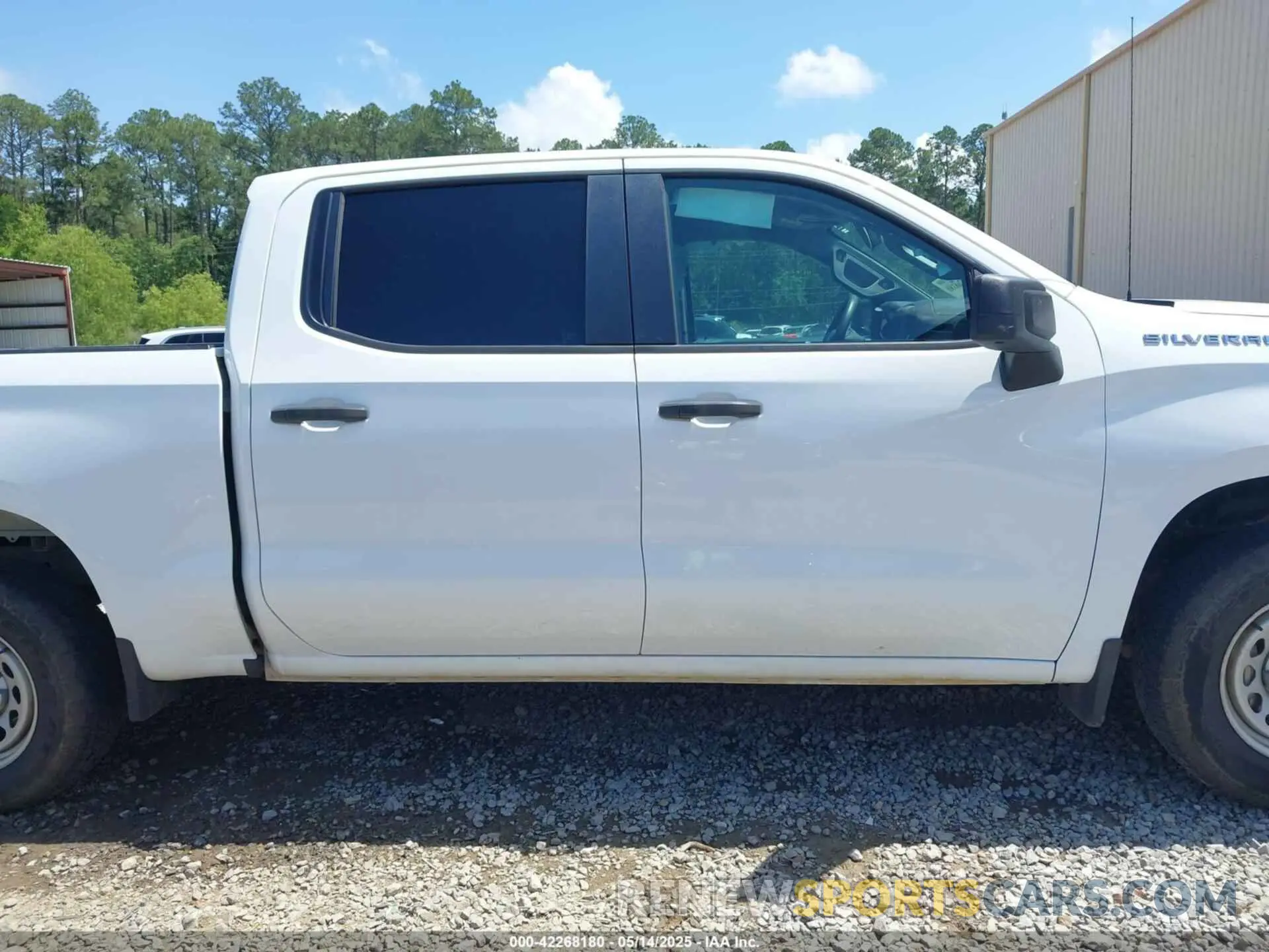 13 fotografías del automóvil dañado 1GCPWAEF5KZ177299 CHEVROLET SILVERADO 1500 2019