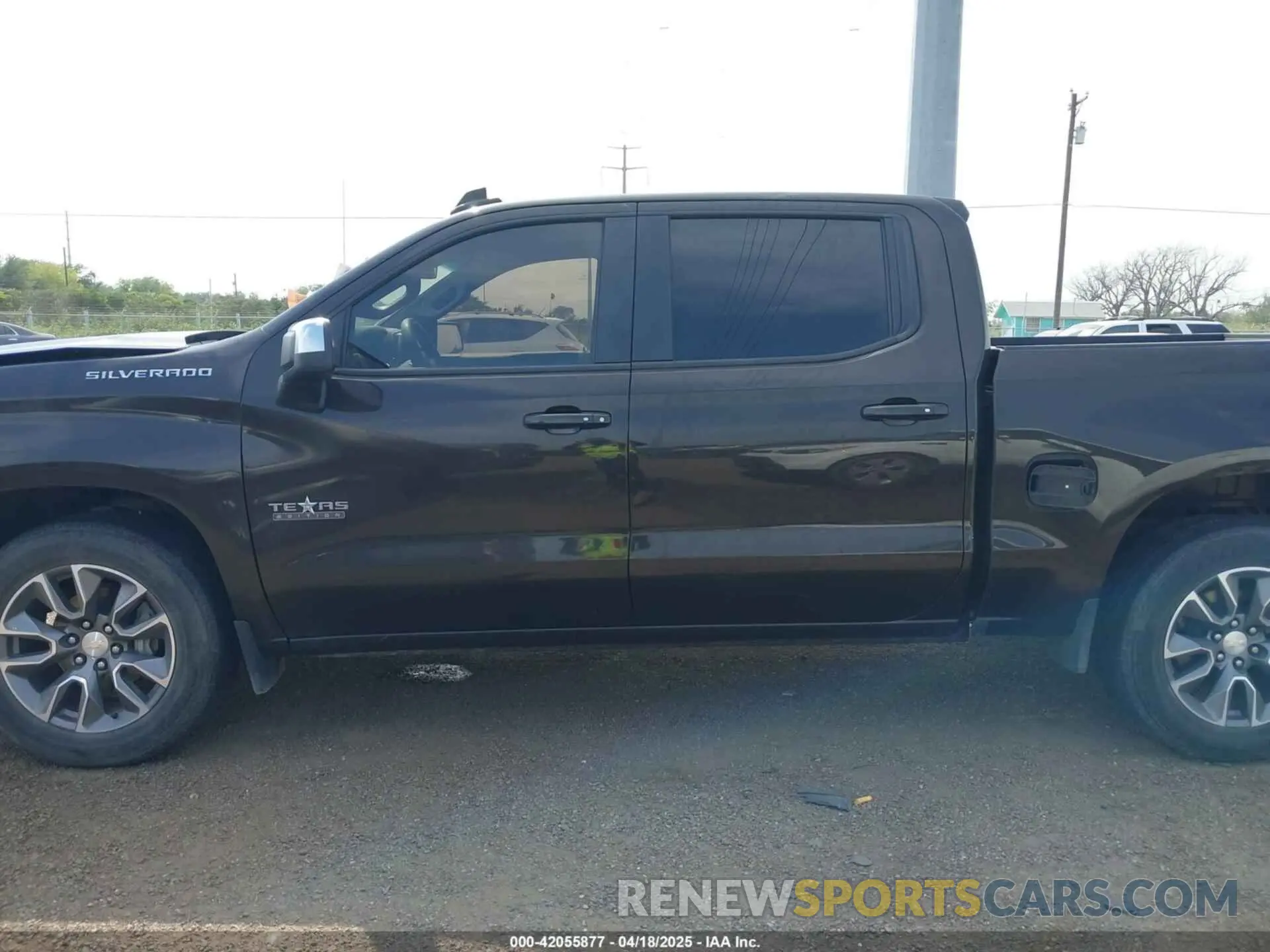 14 fotografías del automóvil dañado 1GCPWCED8KZ355412 CHEVROLET SILVERADO 1500 2019