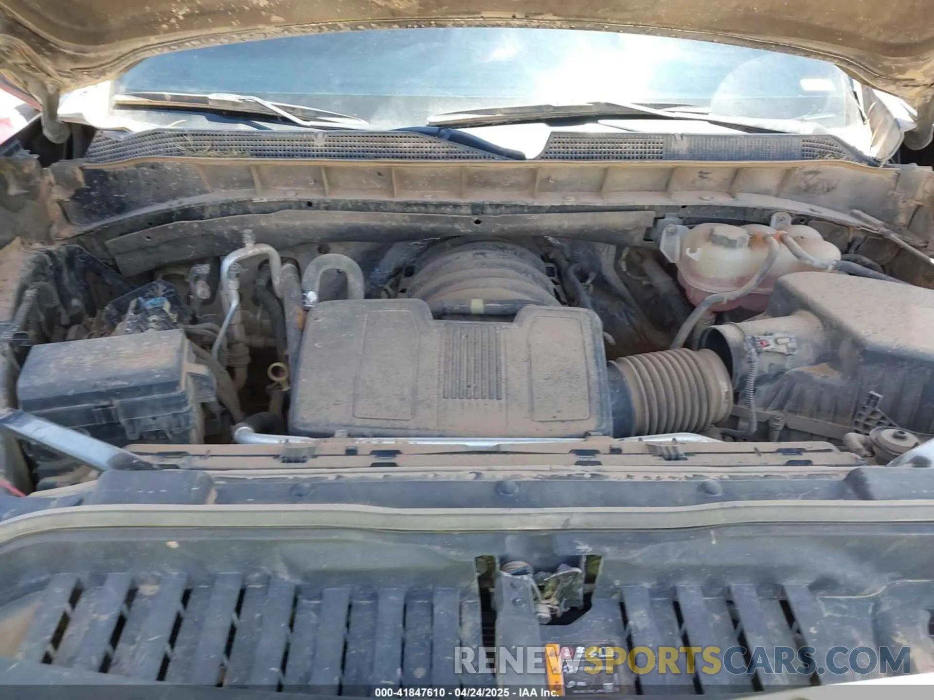10 fotografías del automóvil dañado 3GCPWCED5KG186496 CHEVROLET SILVERADO 1500 2019