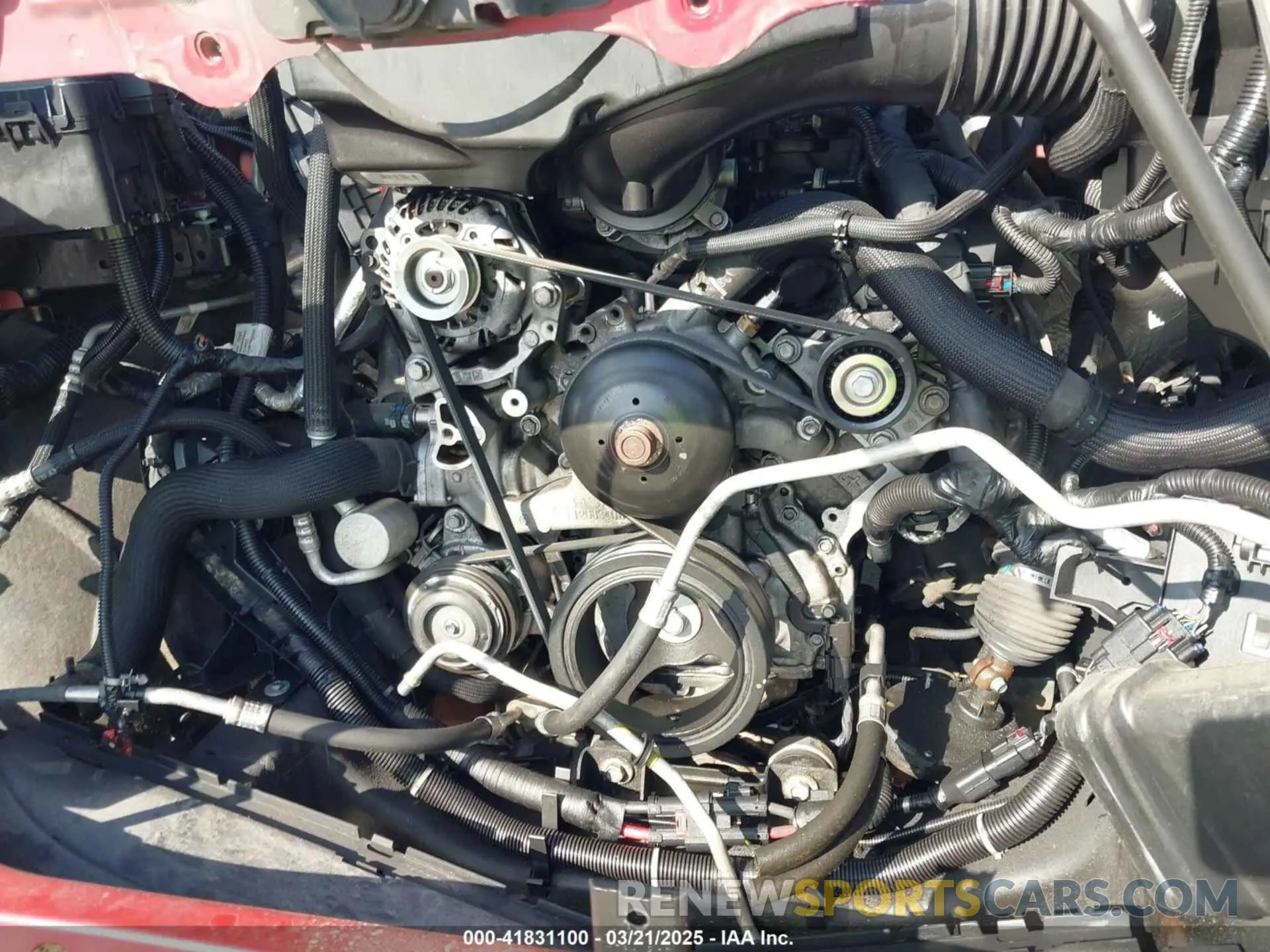 10 fotografías del automóvil dañado 3GCPYFED2KG122699 CHEVROLET SILVERADO 1500 2019