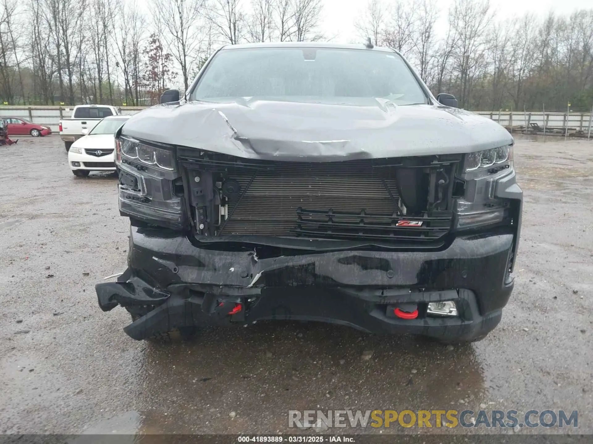 12 fotografías del automóvil dañado 3GCPYFED8KG144612 CHEVROLET SILVERADO 1500 2019