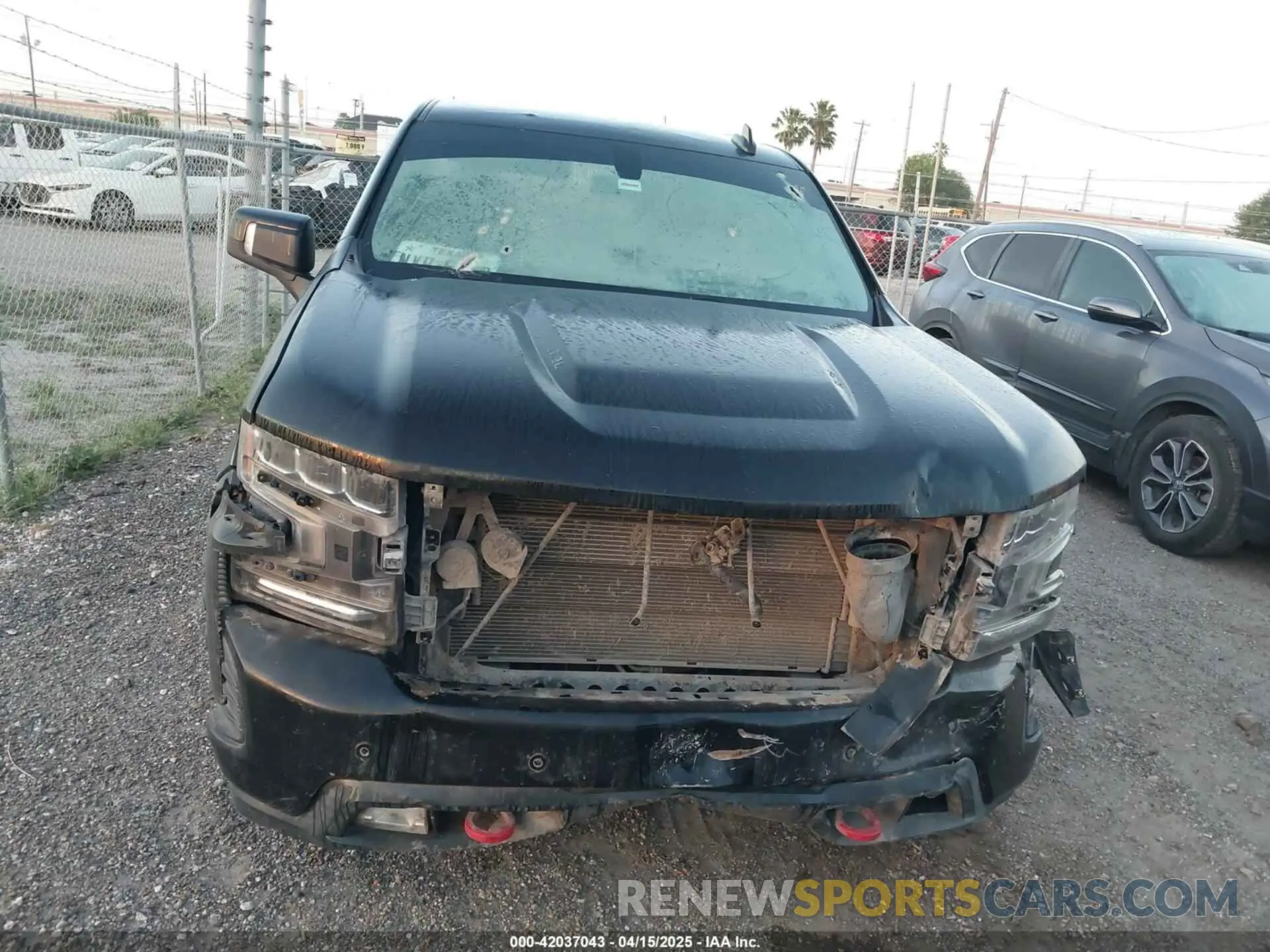 11 fotografías del automóvil dañado 1GCPYFEL2LZ279173 CHEVROLET SILVERADO 1500 2020