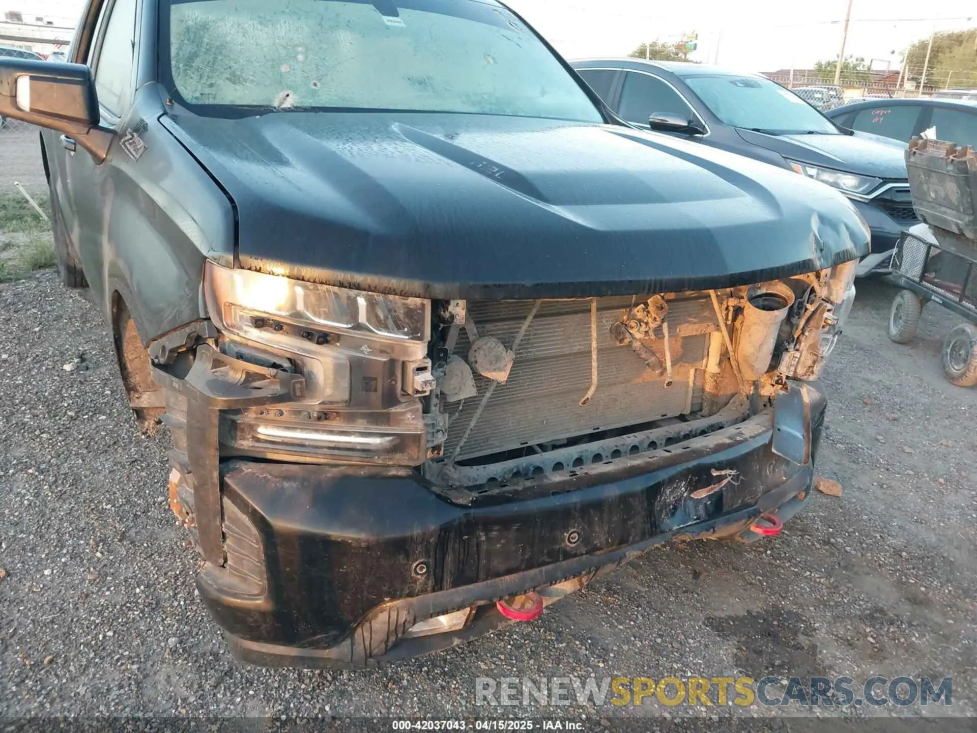16 fotografías del automóvil dañado 1GCPYFEL2LZ279173 CHEVROLET SILVERADO 1500 2020